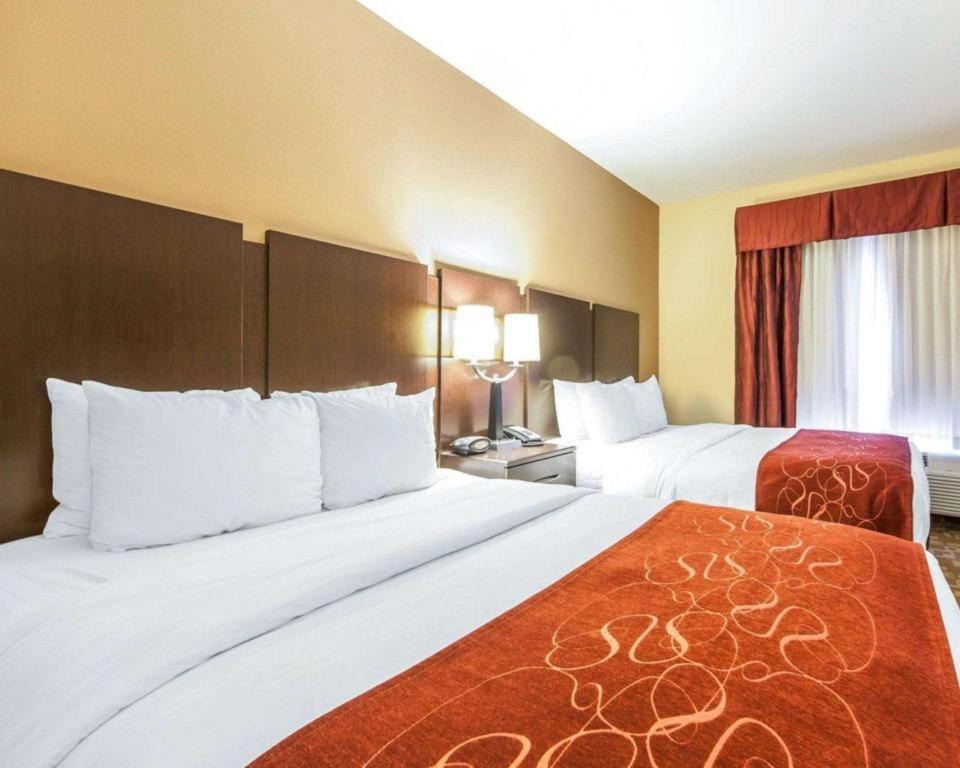 Comfort Suites Rom Eksteriør billede