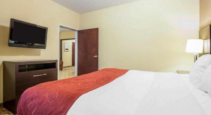 Comfort Suites Rom Eksteriør billede